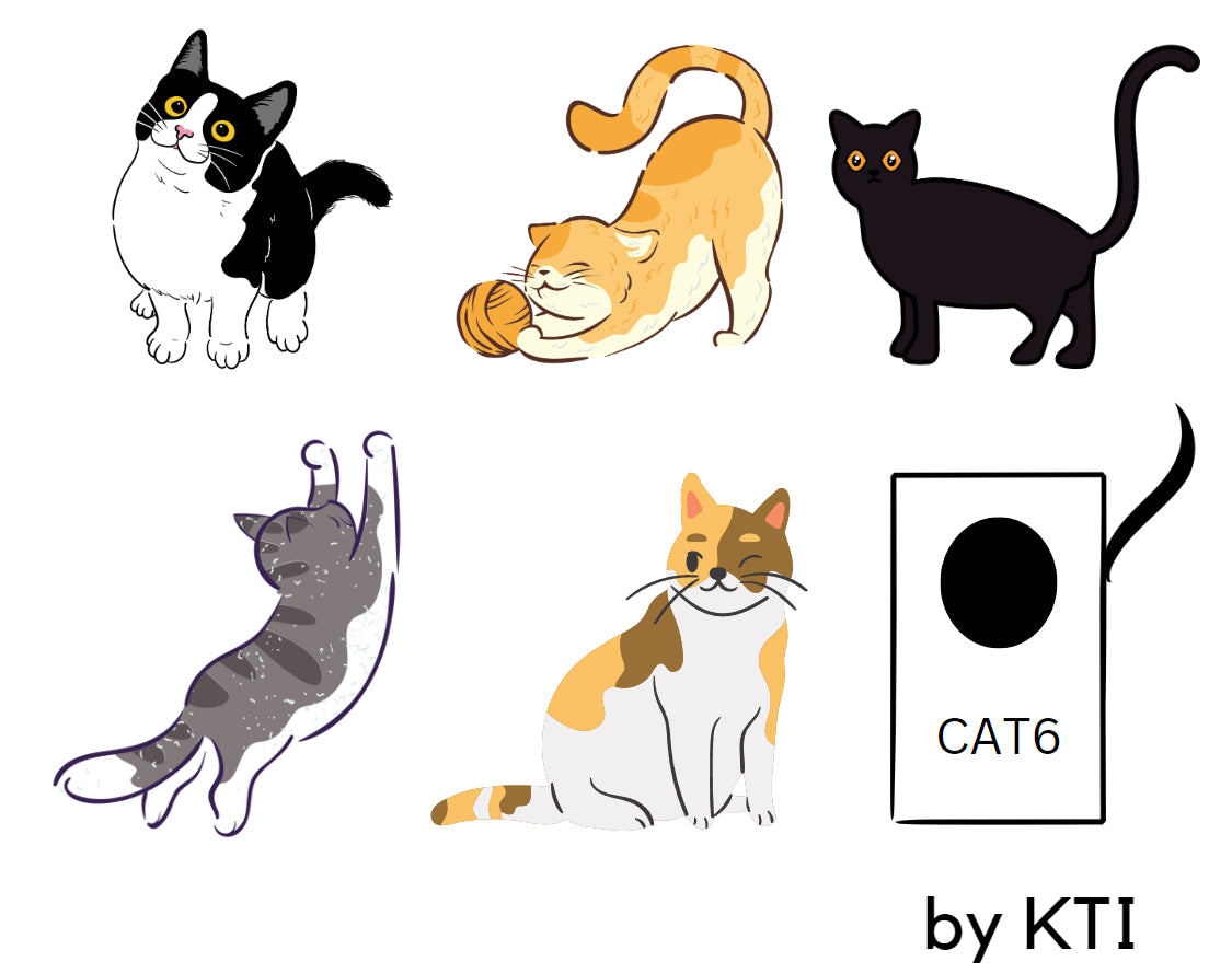 CAT6 T-Shirt By KTI Inc. - 5 Cats + Box of CAT6